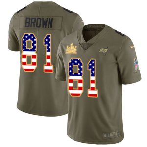 Premium Buccaneers #81 Ronde Barber Brown Olive/USA Flag Men's Super Bowl LV Champions Patch Stitched NFL Limited 2017 Salute To Service Jersey